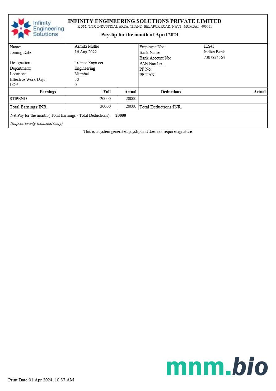 Szablon odcinka wypłaty Infinity Engineering Solutions w formatach Word i PDF